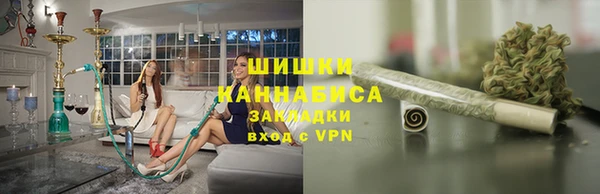 PSILOCYBIN Белокуриха