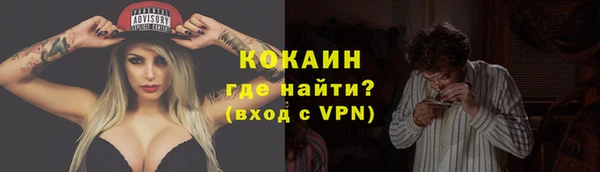 PSILOCYBIN Белокуриха
