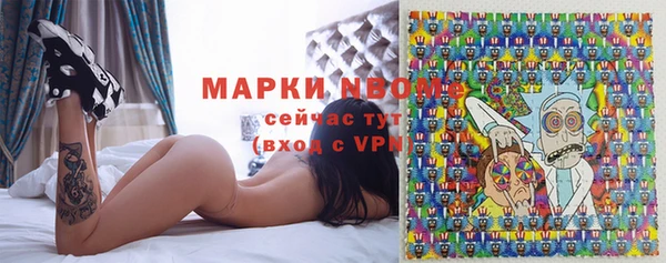 PSILOCYBIN Белокуриха
