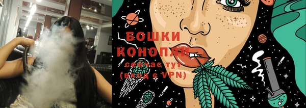 PSILOCYBIN Белокуриха