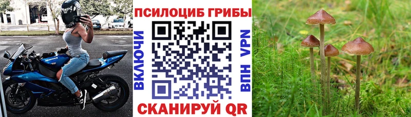 Галлюциногенные грибы мицелий  Краснотурьинск 